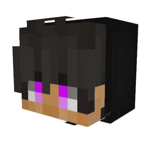 SilverMaster402 Minecraft avatar head, 3D render