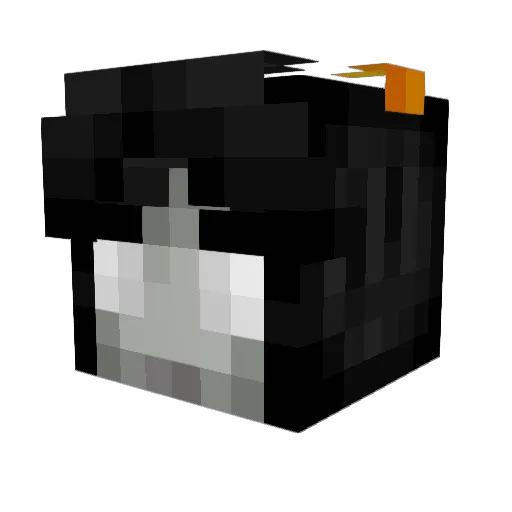 SilverNephele Minecraft avatar head, 3D render
