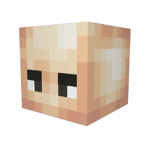 SilverPlayz118 Minecraft avatar head, 3D render
