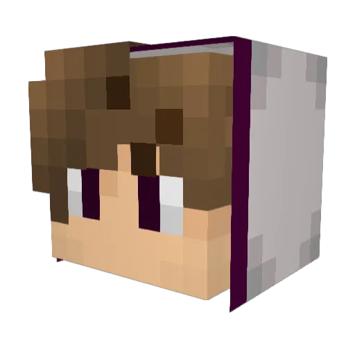 SilverQuickkk Minecraft avatar head, 3D render