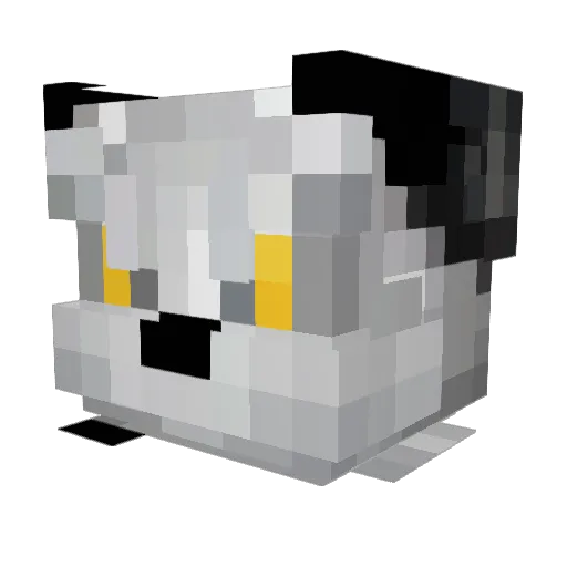 SilverRabbitDNR Minecraft avatar head, 3D render