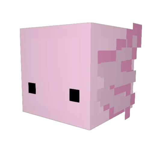 SilverRaptor181 Minecraft avatar head, 3D render