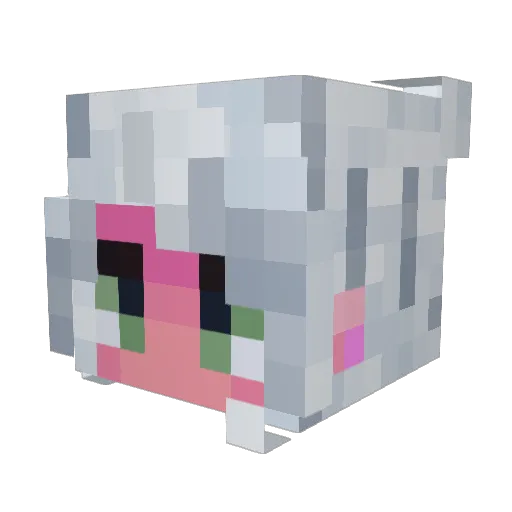SilverSept27 Minecraft avatar head, 3D render