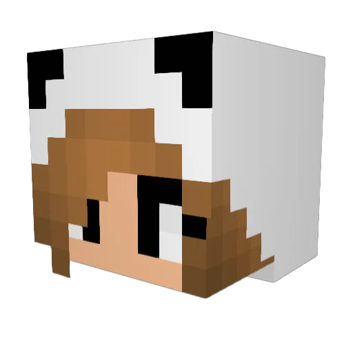 SilverSideUp907 Minecraft avatar head, 3D render