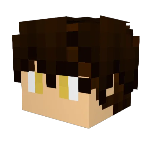 SilverSided Minecraft avatar head, 3D render