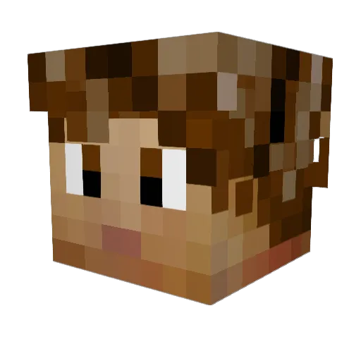 SilverSpeak673 Minecraft avatar head, 3D render