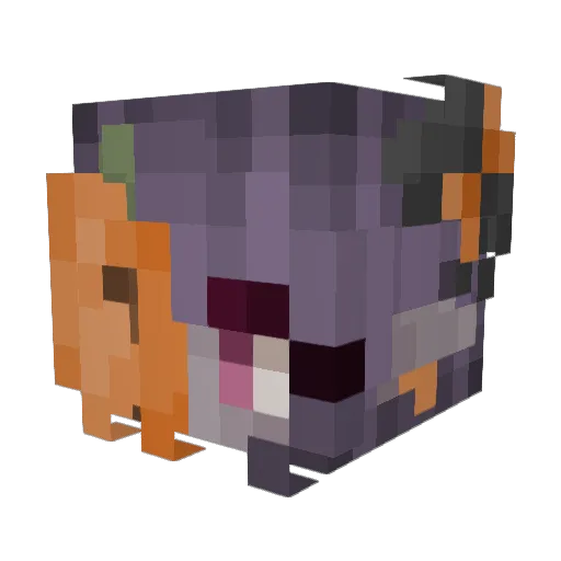SilverStorms_ Minecraft avatar head, 3D render