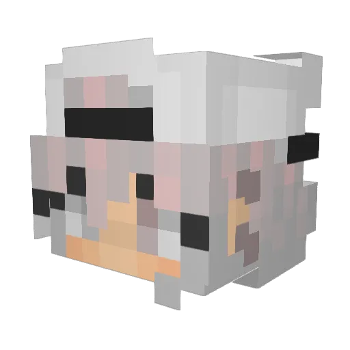 SilverWing121 Minecraft avatar head, 3D render