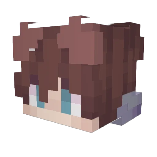 SilverWolf1563 Minecraft avatar head, 3D render