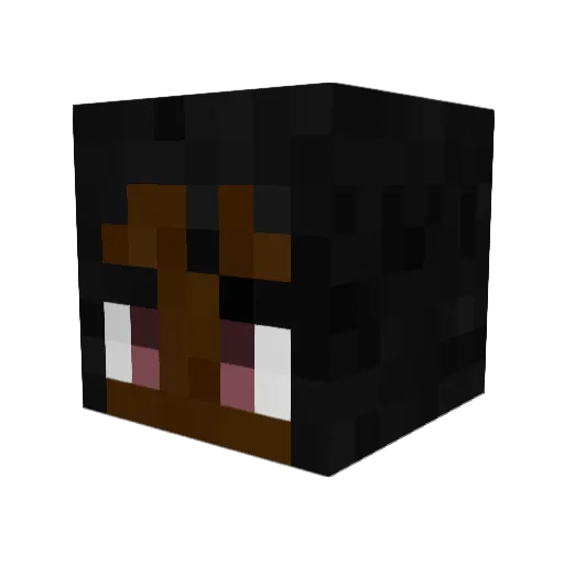 SilverWolfCub Minecraft avatar head, 3D render