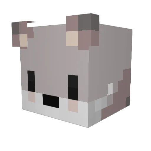 Silver_Foxer_ Minecraft avatar head, 3D render