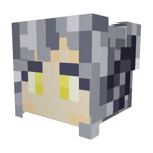 Silver_Sunray Minecraft avatar head, 3D render