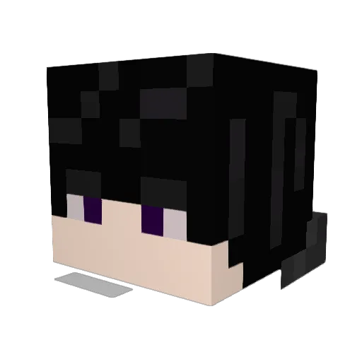 Silver_Tide Minecraft avatar head, 3D render