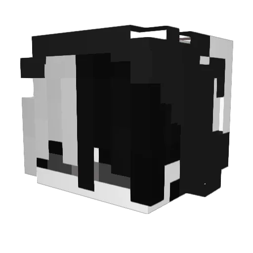 Silver__Song Minecraft avatar head, 3D render