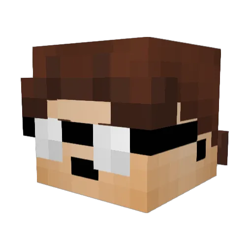 Silvercoin4 Minecraft avatar head, 3D render