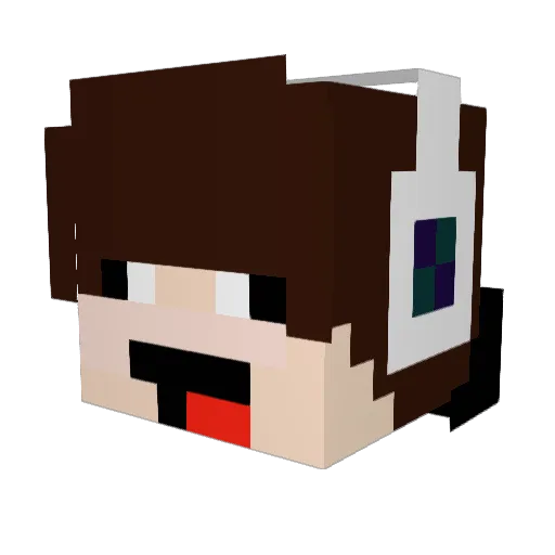 Silverfish26 Minecraft avatar head, 3D render