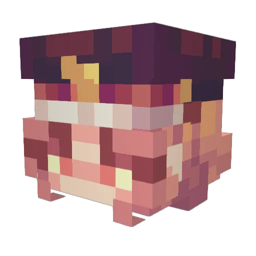 Silvergarde Minecraft avatar head, 3D render