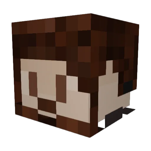 SilverishLining Minecraft avatar head, 3D render