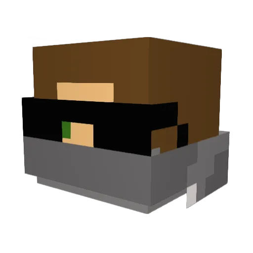 Silverlight1 Minecraft avatar head, 3D render