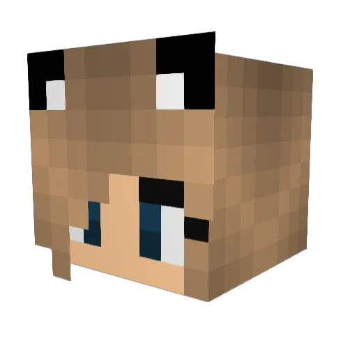Silvermoon722 Minecraft avatar head, 3D render