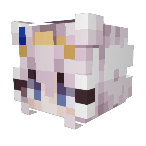 Silverninja369 Minecraft avatar head, 3D render