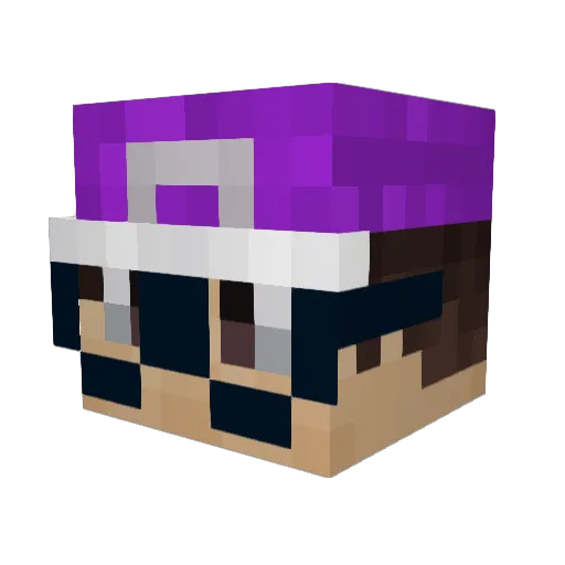 Silvershock23 Minecraft avatar head, 3D render
