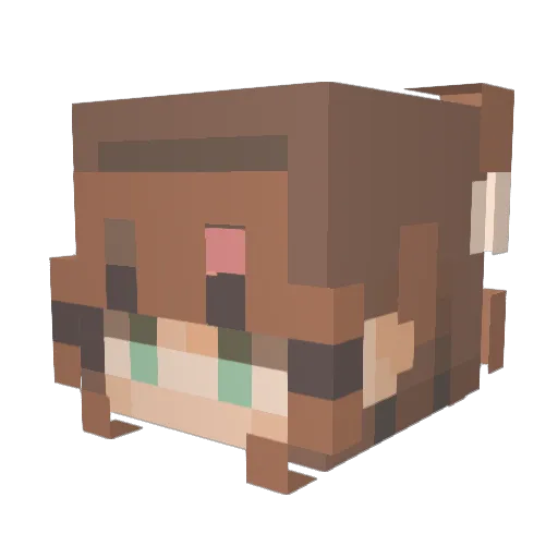 Silvertail26 Minecraft avatar head, 3D render