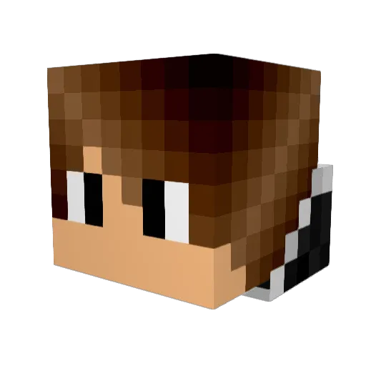 Silverthelion Minecraft avatar head, 3D render