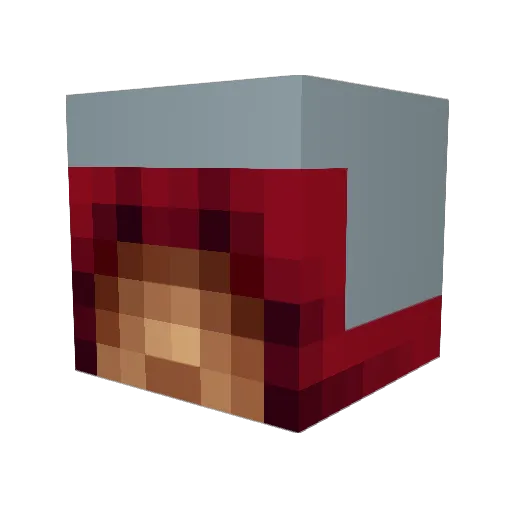Silvertooth5525 Minecraft avatar head, 3D render