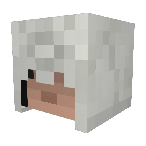 Silvester2468 Minecraft avatar head, 3D render