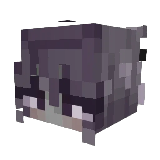 Silvr__ Minecraft avatar head, 3D render
