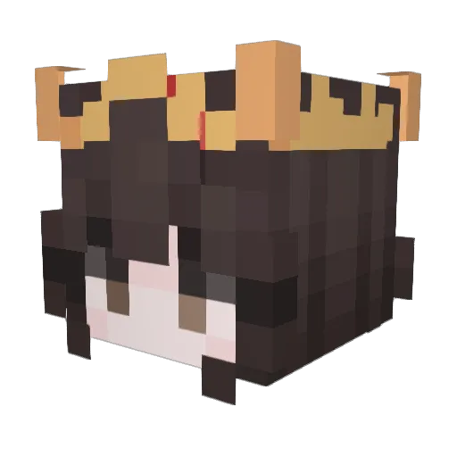 SimMao Minecraft avatar head, 3D render