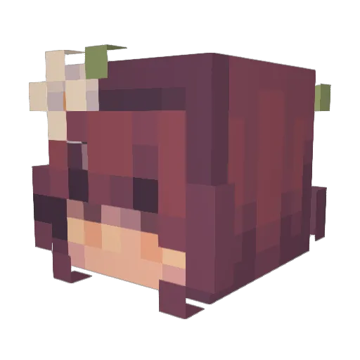 SimShark13 Minecraft avatar head, 3D render
