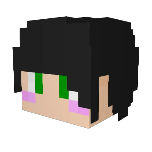 Sim_Son_ Minecraft avatar head, 3D render