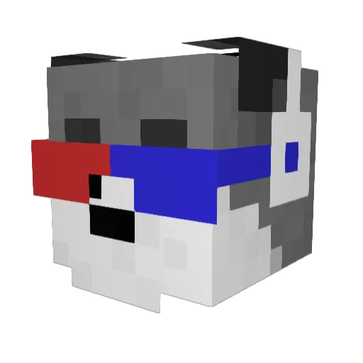 Simao1235 Minecraft avatar head, 3D render