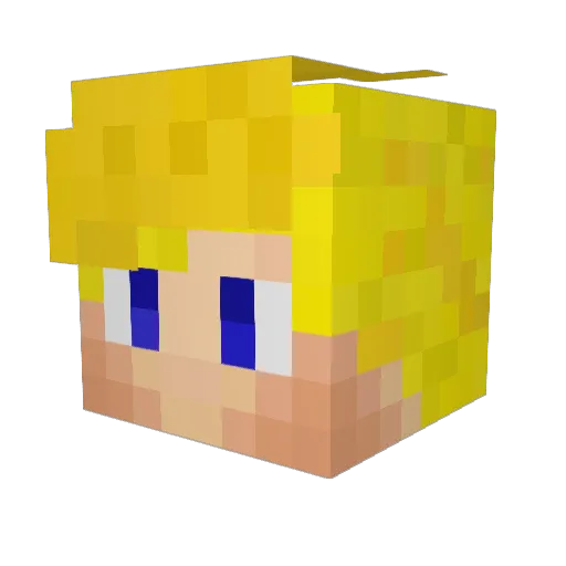 Simax270 Minecraft avatar head, 3D render