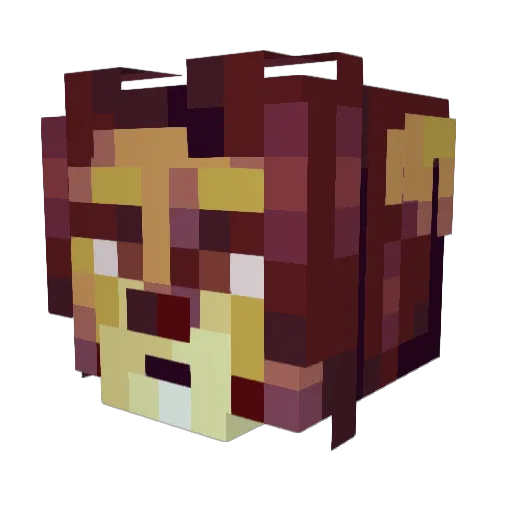 Simbad_Jr Minecraft avatar head, 3D render