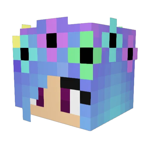 Simbas_Bxtch Minecraft avatar head, 3D render