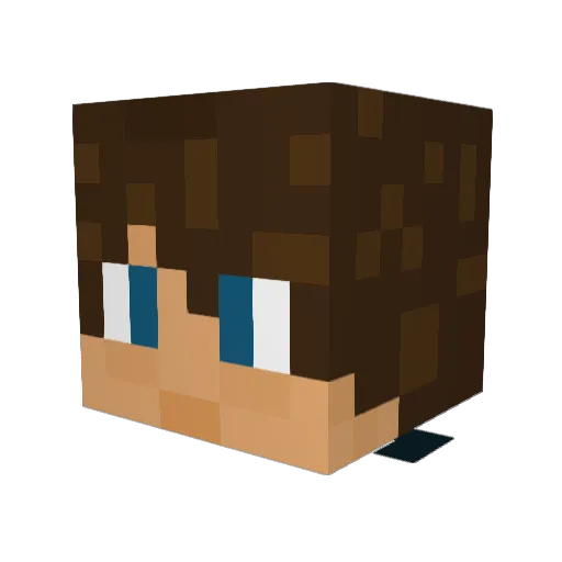 Simdog06 Minecraft avatar head, 3D render