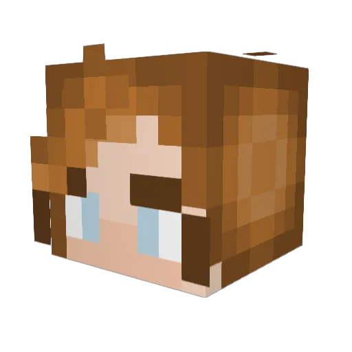 Simdog179 Minecraft avatar head, 3D render
