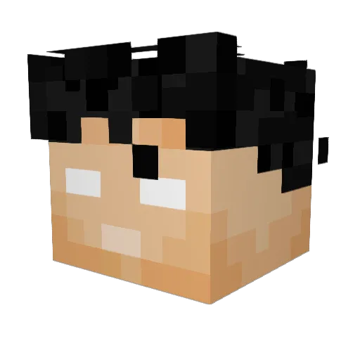 Simen9 Minecraft avatar head, 3D render