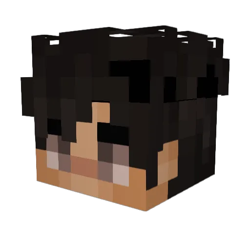 SimiCool10 Minecraft avatar head, 3D render
