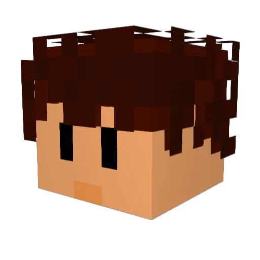 Simisage99 Minecraft avatar head, 3D render