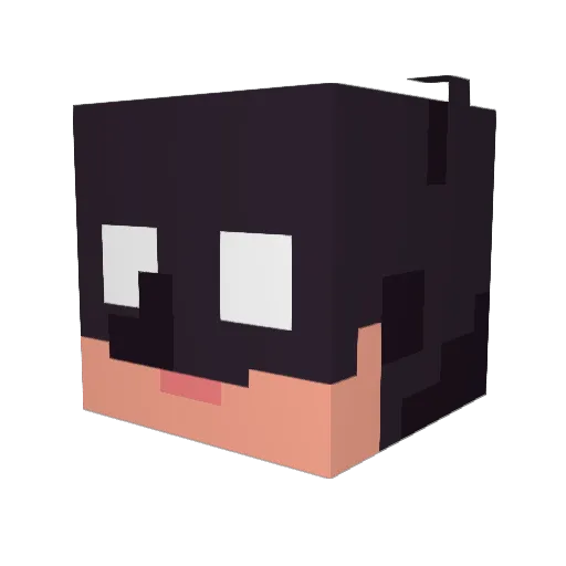 SimmSKS12 Minecraft avatar head, 3D render