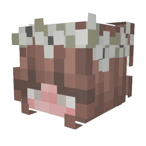 Simmie2017 Minecraft avatar head, 3D render