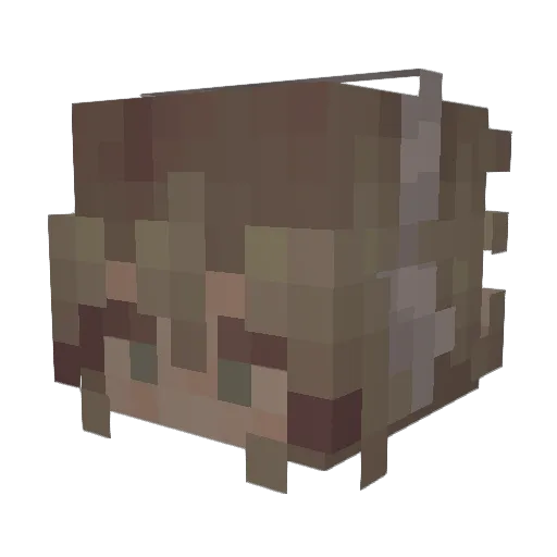 Simmoli1 Minecraft avatar head, 3D render