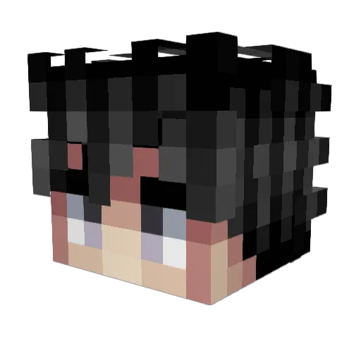Simmy2469 Minecraft avatar head, 3D render