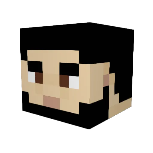 SimoCoden Minecraft avatar head, 3D render