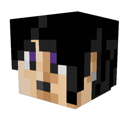 SimoFak3 Minecraft avatar head, 3D render