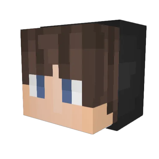 Simohn Minecraft avatar head, 3D render